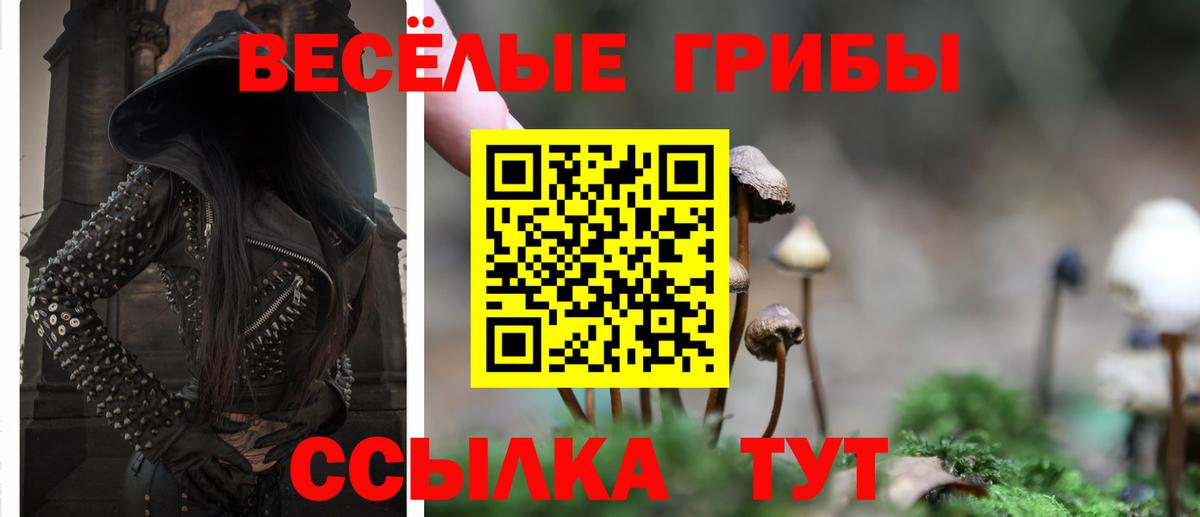 Ярцево  Галлюциногенные грибы Cubensis  Вход с VPN 